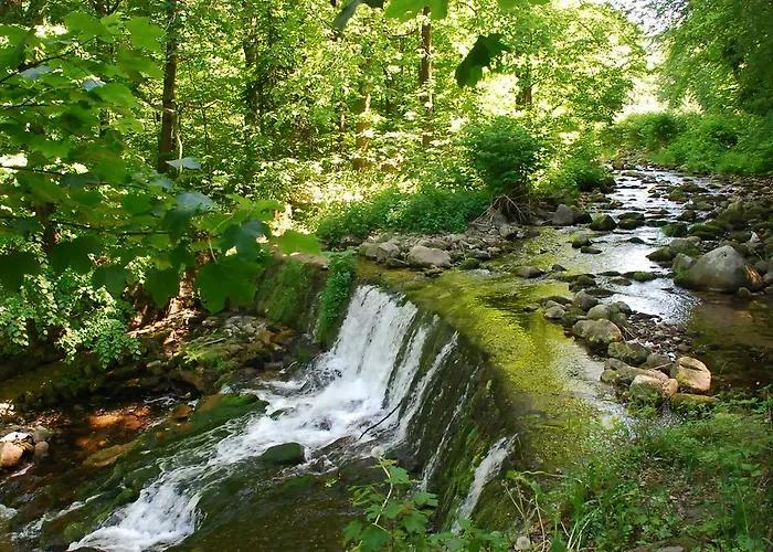 Apartment Apartament Sofia Karpacz